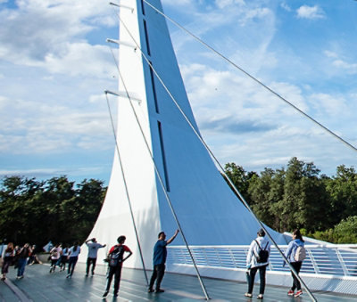 Multiple people's watching one product